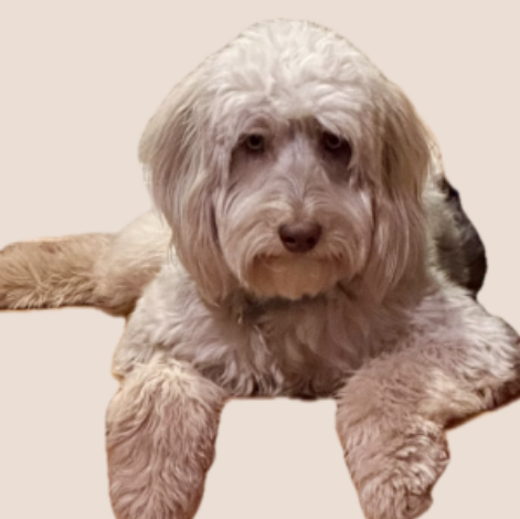 placeholder-Carrousel